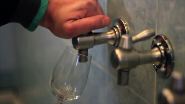 Close up shot of a man's hand pouring white wine in the glass — Stock Video