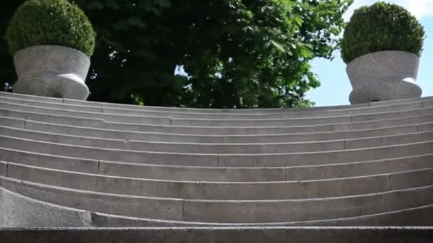 Zoom out of staircase in park — Stock Video