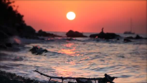 Tramonto — Video Stock