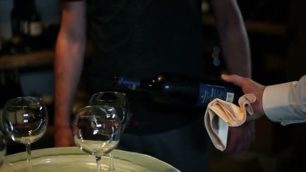 Homme tenant un verre de vin et buvant — Video