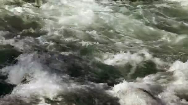 Shot van een rivier whirlpool — Stockvideo