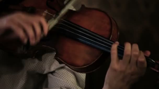 小提琴手 — 图库视频影像