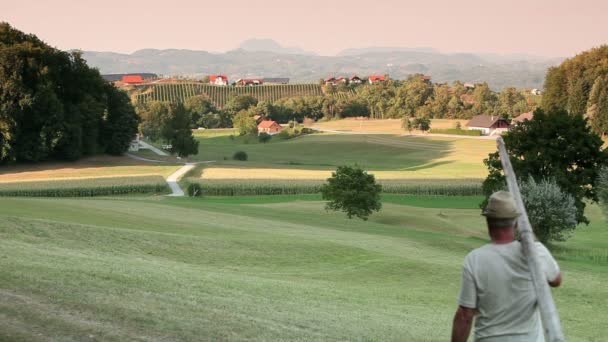 Senior man walking on meadow with a ladder and basket full of apples — Stock Video