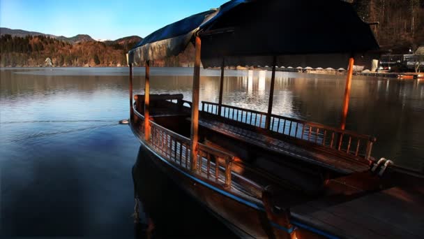 Patos nadando pasar barcos en el lago de Bled — Vídeos de Stock