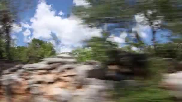 Schot van het landschap gemaakt van de rijdende auto — Stockvideo