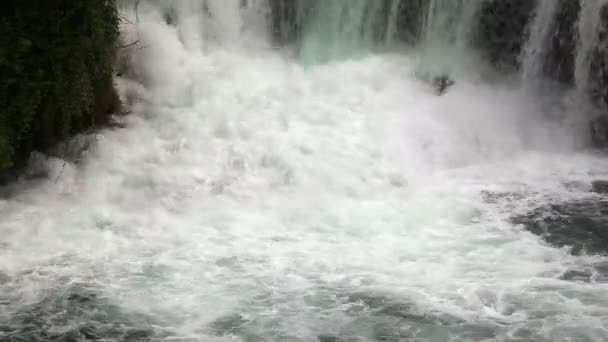 Close up tiro de cachoeira no rio Krka-Croácia — Vídeo de Stock