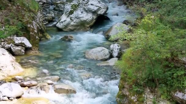 Ruisseau de montagne