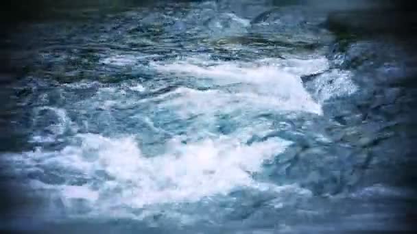 Still shot of wild river rapids with surroundings — Stock Video