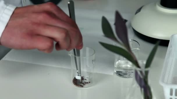 Close up of the student studying seed under the microscope — Stockvideo