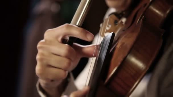 Violin player — Stock Video