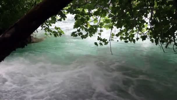 Skott av floden forsar på krka river-Kroatien — Stockvideo