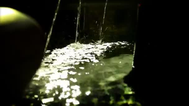 Fountain in Ljubljana — Stock Video