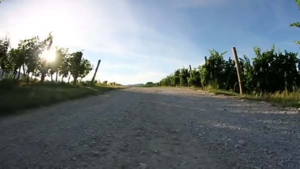 Nahaufnahme eines Reifens während der Fahrt durch den Weinberg mit spezieller Sonnenreflexion — Stockvideo