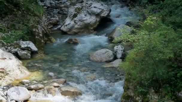 Corriente de montaña — Vídeo de stock