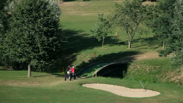 Shot of a coouple that goes on the other golf course carring all the golf equipment — Stock Video