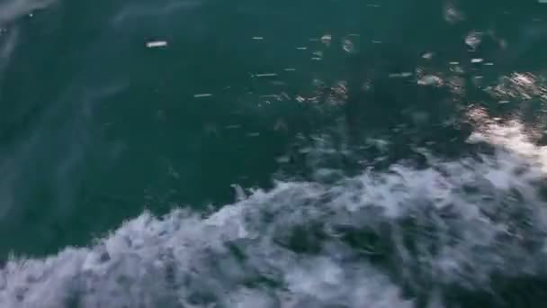 Strzał śledzenia łodzią w morze — Wideo stockowe