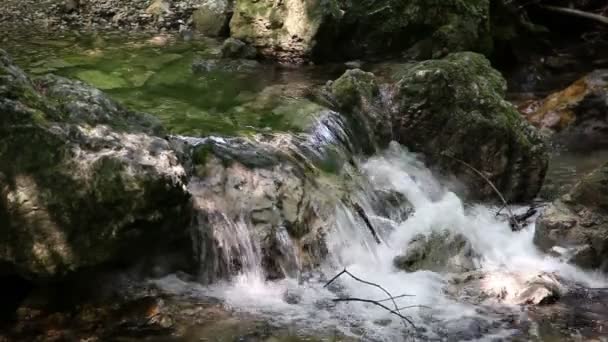 Correntes fluviais na madeira — Vídeo de Stock