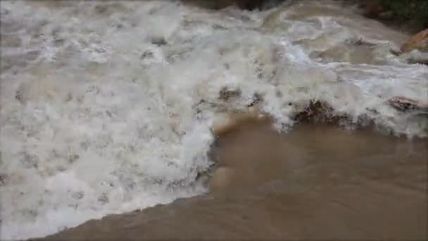 Uitzicht op de rivier de stroomversnellingen — Stockvideo