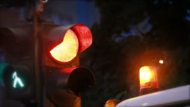 View of the traffic light — Stock Video