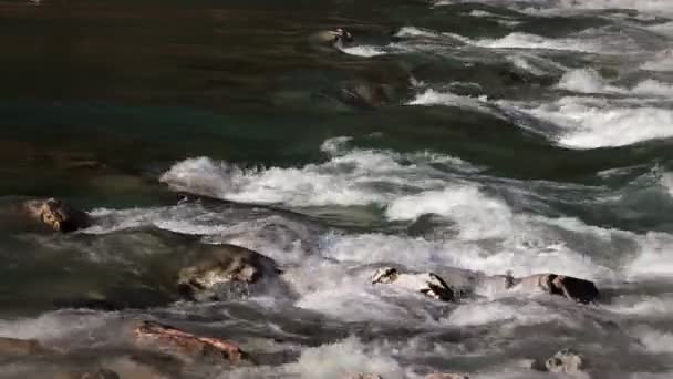 Tournage de rapis de rivière à travers les rochers — Video