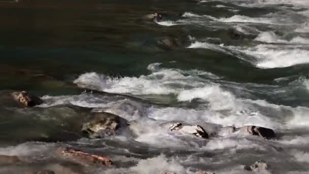 Tournage de rapis de rivière à travers les rochers 