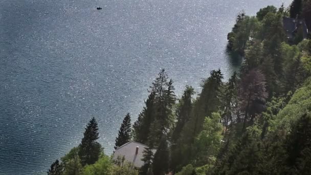 Знімок озера і лісу зверху — стокове відео