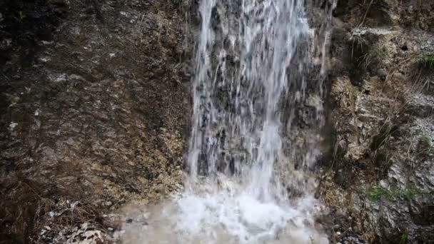 Rivier stroomversnellingen in het bos — Stockvideo