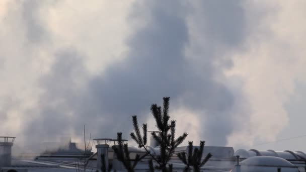 Движущиеся облака над фабрикой и деревом — стоковое видео