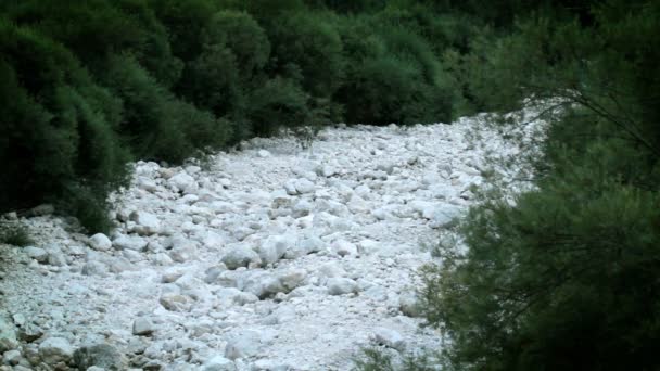 Lecho del río vacío — Vídeos de Stock