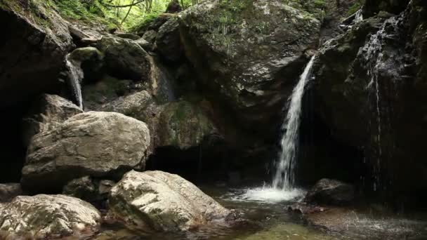 Pequeño río en el bosque — Vídeos de Stock