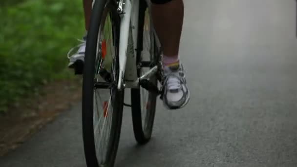 Jong echtpaar fietsen in bos — Stockvideo