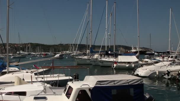 Een weergave van een kleine marine — Stockvideo