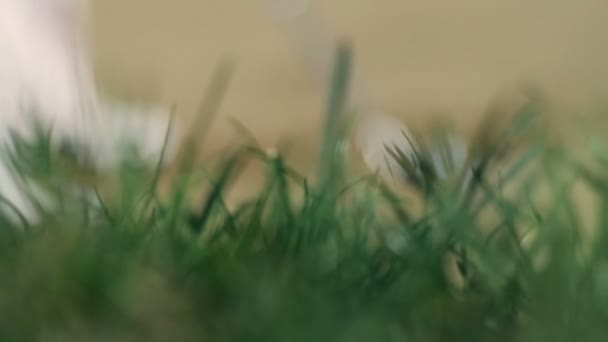 Zblízka střílel na golfovém hřišti, když golfista bílý golfový míč přímo do sálu — Stock video