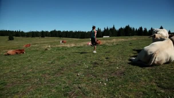 Young woman jogging — Stock Video