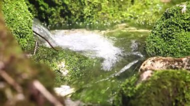 hala Nehri su yüzeyine yansıtan güneş ışını ile ormanda vurdu