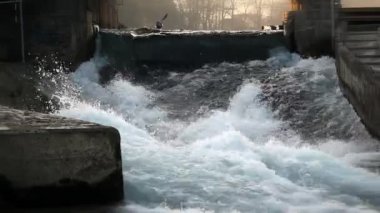 insan tarafından manipüle yaban sularda kanocu vurdu