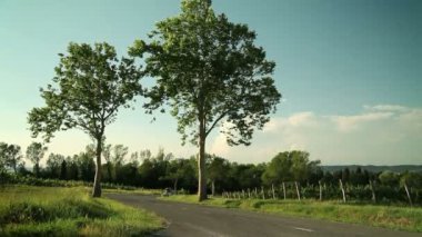 güzel yeşil bir ülke üzerinde araba araba