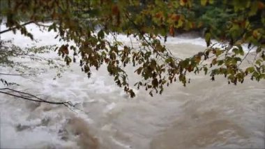 çalışan bir çamurlu nehir manzarası