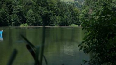 genç adam, bir teknenin forest yakınındaki