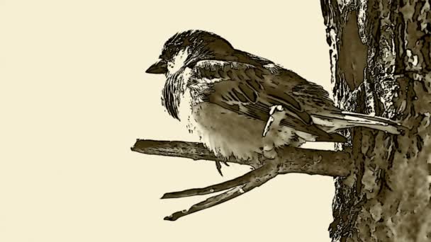 Schot van de vogels in de boom-huis met toegevoegde animatie-effect — Stockvideo