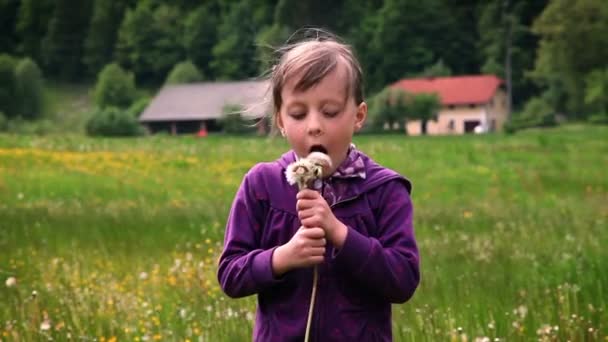 Aufnahme eines kleinen Mädchens, das Löwenzahnblüten bläst — Stockvideo