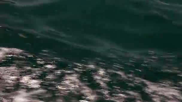 Une pousse de vagues reproduites par un bateau — Video