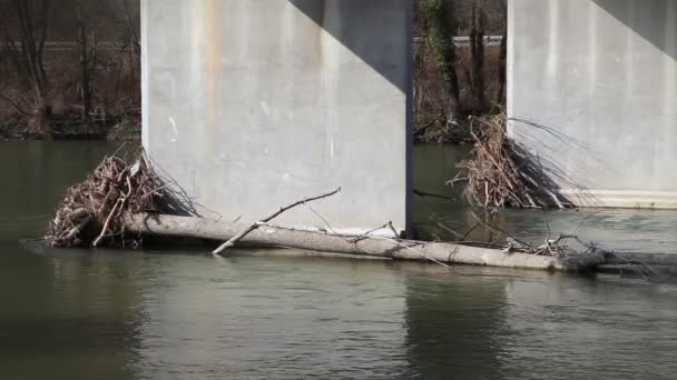 Schot van rivier met man gemaakt van obstakels en reduceren van bomen — Stockvideo