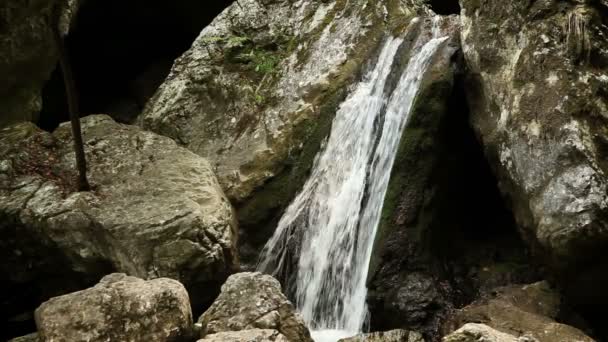 Tiro de arroyo de piedras en el bosque — Vídeos de Stock