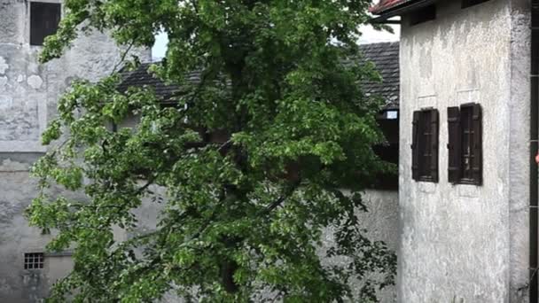 Zoom ze stromu na přední části Bledu — Stock video