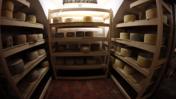 Stoccaggio per essiccazione formaggio — Video Stock