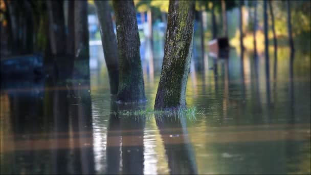 Callejón inundado en la ciudad — Vídeo de stock