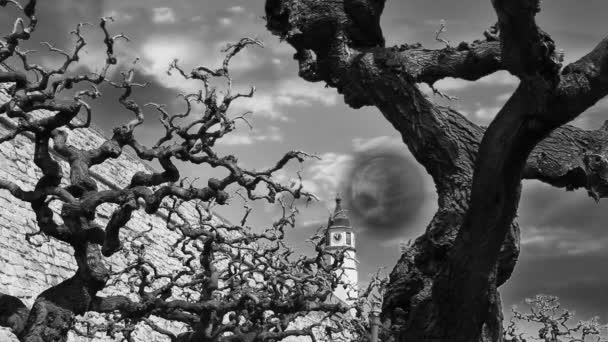 在夜与树枝和教会中的恐怖场面的镜头 — 图库视频影像
