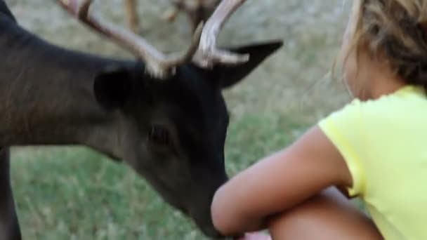 Kleines Mädchen streichelt und füttert ein Reh — Stockvideo