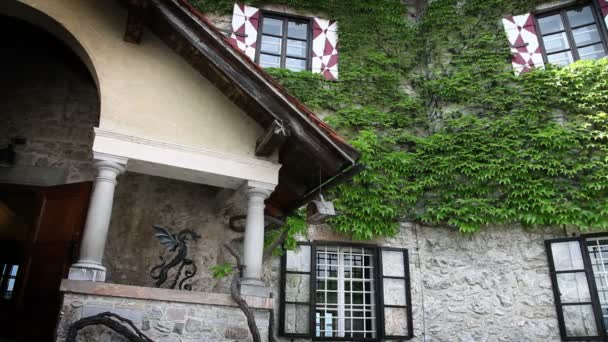 Tiro de entrada en el castillo con el dragón frente a él — Vídeos de Stock